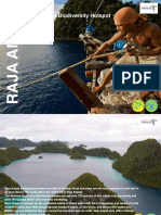 888 Raja Ampat 8D Lightversion