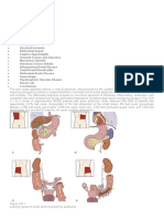 The Acute Abdomen: Chapter Outline