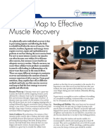 A Road Map To Effective Muscle Recovery PDF