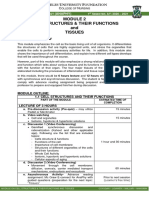 2 MODULE CHAPTER 3&4 AnaPhy 2020-2021 PDF