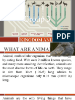 Group 3: Kingdom Animalia