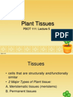 Plant Tissues: PBOT 111: Lecture 5
