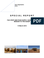 Sesame Report in Sudan in 2020