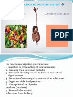 Introduction To Digestive System: Creat by Vedant Patel