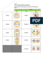 ACTIVITY - Mitosis and Meiosis Comparison: Yusop, Calvin E