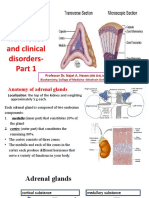 Adrenal Gland: Structure, Hormones and Clinical Disorders-: Professor Dr. Najat A. Hasan