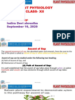 Ascent of Sap by IDS PDF