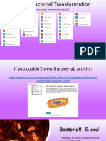 6.08 - Bacterial Transformation Live Lesson 1.19.21
