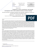 Age-Related Hormonal Adaptations, Muscle Circumference and Strength Development With 8 Weeks Moderate Intensity Resistance Training