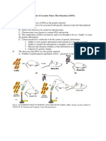 Chapter 11 Lecture Notes: The Structure of DNA