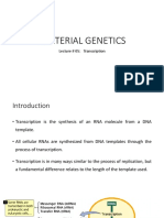 Bacterial Genetics: Lecture # 05: Transcription