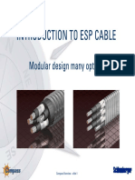 Introduction To Esp Cable: Modular Design Many Options