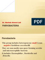 Parvobacteria: Dr. Shehab Ahmed Lafi