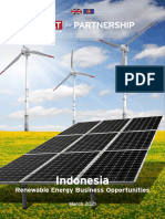 Indonesia - ASEAN Renewable Energy Report 2021