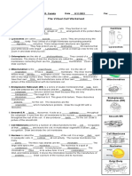 The Virtual Cell Worksheet