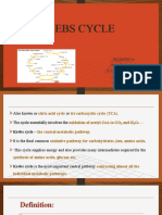 Krebs Cycle Ppt. H1