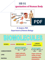 HB01 Introduction To Carbohydrates