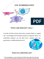 Lec# Somatic Hybridization.