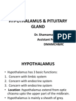 Hypothalamus & Pituitary Gland