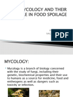 Basic Mycology and Their Role in Food Spoilage: Presented By-Sagar Badnakhe 17FET113