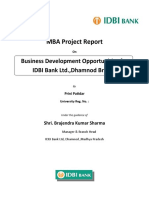 MBA Project Report: Business Development Opportunities For IDBI Bank Ltd.,Dhamnod Branch