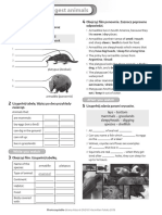 Brainy Klasa 6 DVD Worksheet Unit4