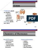 Endocrine System