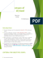 Plant Ideotypes of Dryland: Done by I.Shifa B.Shobhanaa