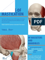 VisibleBody Mastication