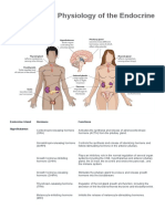 Anatomy and Physiology of The Endocrine System