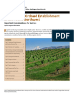 Cherry Orchard Establishment Pacific Northwest
