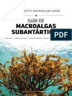 Guia Macroalgas Subantarticas