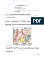 5 - Connective Tissue