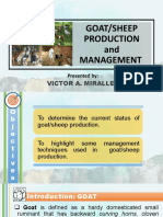 Goat or Sheep Production and Management