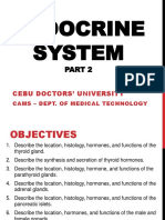 Endocrine System 2