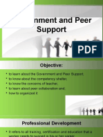 Government and Peer Support