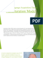 Acculturation Model