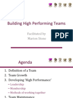 Building High Performing Teams: Facilitated by Marion Stone