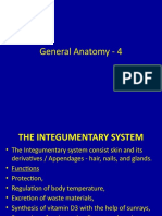 General Anatomy - 4