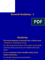 1 General Anatomy - Levels of Organization Etc