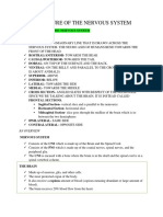 Physio. Psych Structure-Of-The-Nervous-System-Fact-Sheet