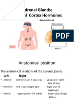 3-Adrenal Glands and Its Hormones-MW