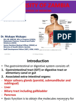 Digestive System Mukape