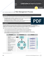 Risk Management Process