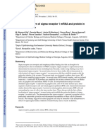 Expression Pattern of S1R MRNA and Protein in Mammalian Retina - Ola2001