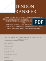 Basic Principles of Tendon Transfer