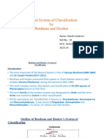 Natural System of Classification - Copy - 111609