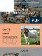 Breeds of Different Animals, Agri Sciene Project 2024