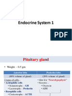 Endocrine 1