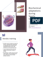 Biochemical Adaptations During Sports Training